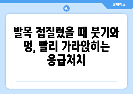 발목 접질렀을 때 붓기와 멍, 빠르게 완화하는 5가지 가정 요법 | 발목 부상, 냉찜질, 족욕, 압박 붕대, 휴식