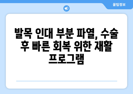 발목 인대 부분 파열, 수술 선택 가이드| 나에게 맞는 치료법 찾기 | 발목 인대 부분 파열, 수술, 비수술, 재활, 회복