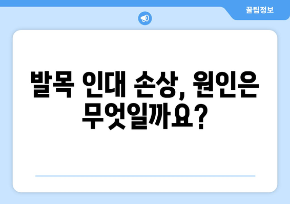 발끝쪽 발목 통증, 인대 손상일까요? 원인과 해결법 알아보기 | 발목 인대 통증, 발목 통증, 발목 부상, 운동 부상, 재활