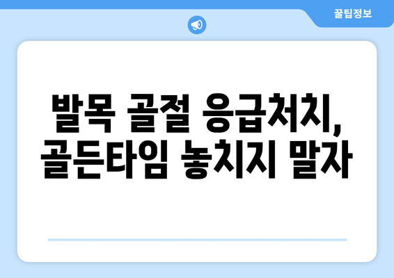 발목 골절, 신속한 진단과 치료가 중요한 이유| 골절 유형별 증상과 치료법 | 발목 골절, 응급처치, 치료 과정, 재활