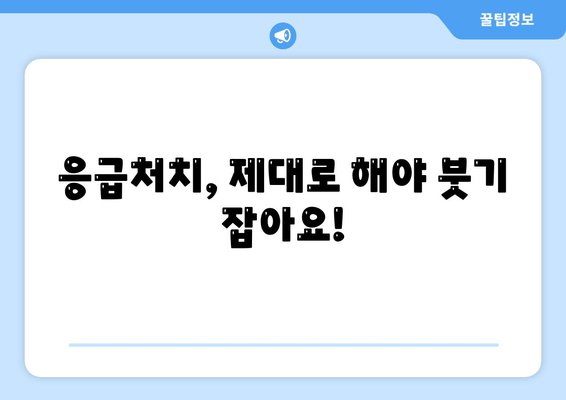 발목 접질림, 증상과 관리법 완벽 가이드 | 응급처치, 재활, 예방