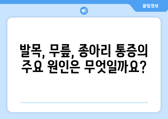 발목, 무릎, 종아리 통증의 원인과 해결 방안 | 통증 완화 운동, 스트레칭, 치료 팁