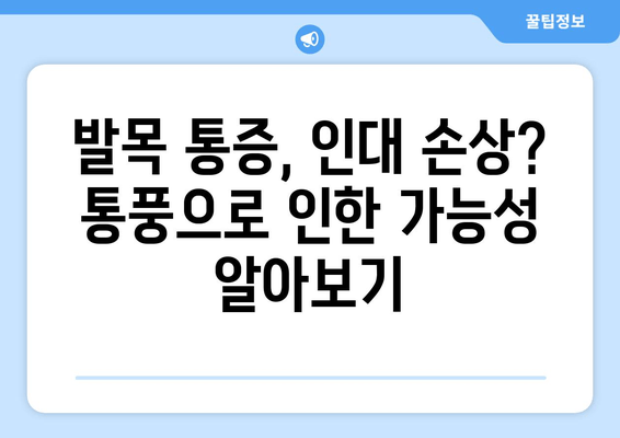 발목 인대 통풍| 증상, 원인별 예방 음식 & 관리 가이드 | 통풍, 발목 통증, 인대 손상, 건강 관리