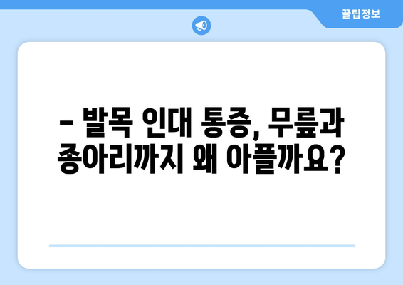 발목 인대 통증| 무릎과 종아리까지 이어지는 통증의 비밀 | 발목 인대 손상, 통증 원인, 연관 증상, 치료