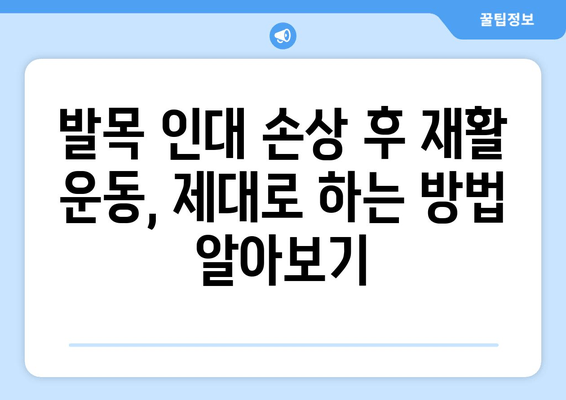 발목 인대 늘어났어요? 증상부터 치료까지 완벽 가이드 | 발목 통증, 인대 손상, 재활 운동