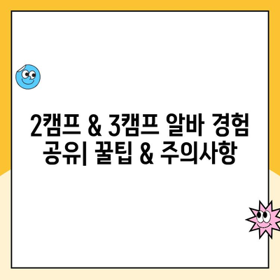 제주 2캠프 vs 3캠프 소화물 분류 알바 후기| 어디가 더 나을까? | 제주 알바, 택배, 비교 후기