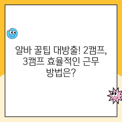 제주 2캠프 vs 3캠프 소화물 분류 알바 비교 후기| 솔직한 경험 공유 | 알바 후기, 꿀팁, 장단점 비교