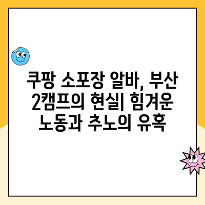 쿠팡 소포장 알바 후기| 부산 2캠프에서 겪은 