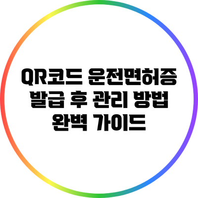 QR코드 운전면허증 발급 후 관리 방법 완벽 가이드