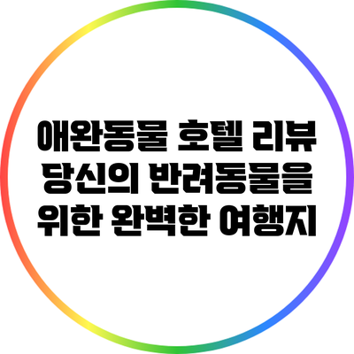 애완동물 호텔 리뷰: 당신의 반려동물을 위한 완벽한 여행지